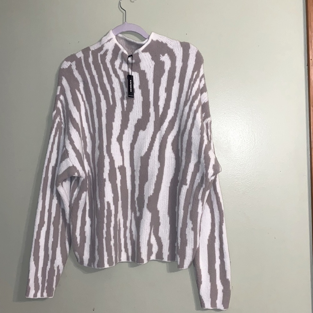 Express Sweater
